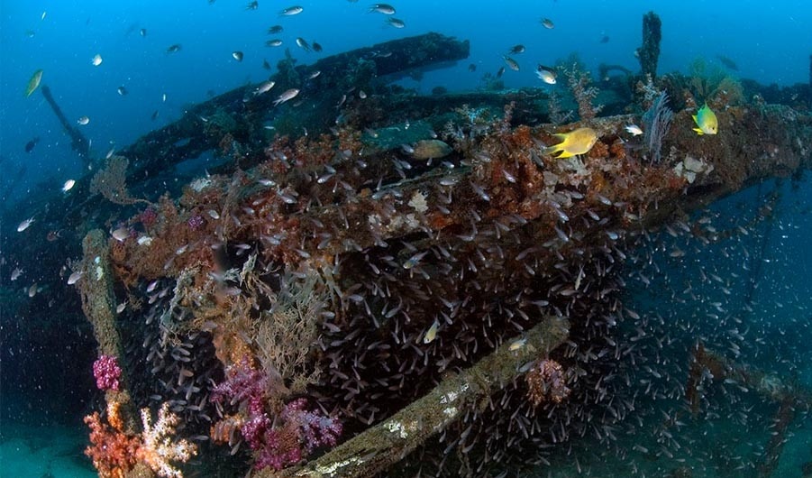 Tioman Island diving travel hero image