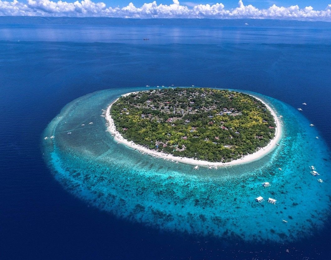 Balicasag Island diving travel hero image