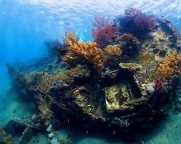 Japanese Wreck dive site image